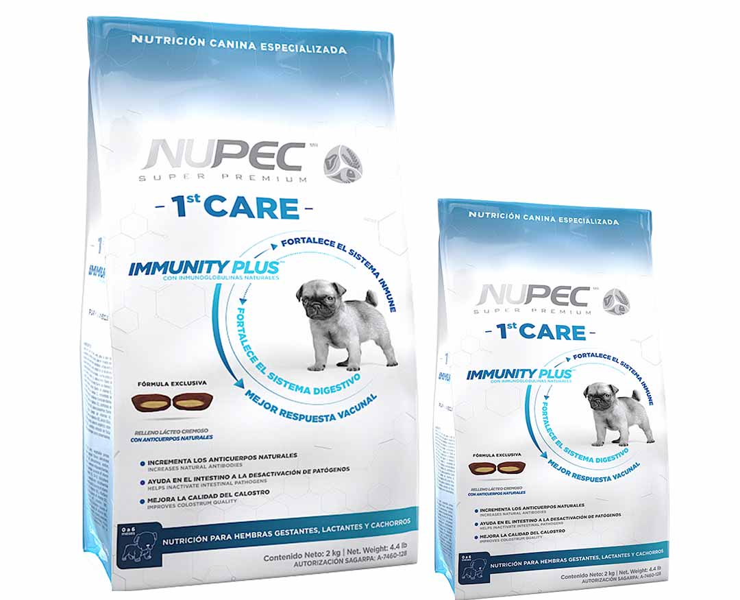 NUPEC FIRST CARE