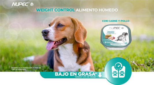 NUPEC WEIGHT CONTROL
