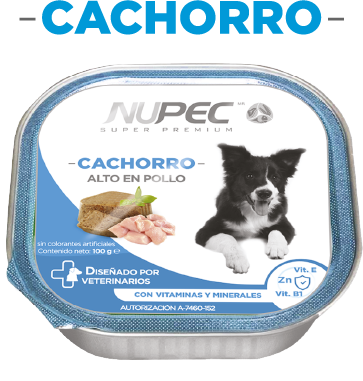 NUPEC CACHORRO HUMEDO