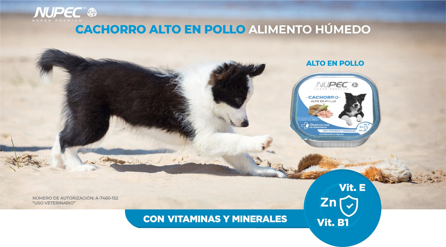 NUPEC CACHORRO HUMEDO