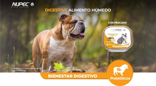NUPEC DIGESTIVE HUMEDO