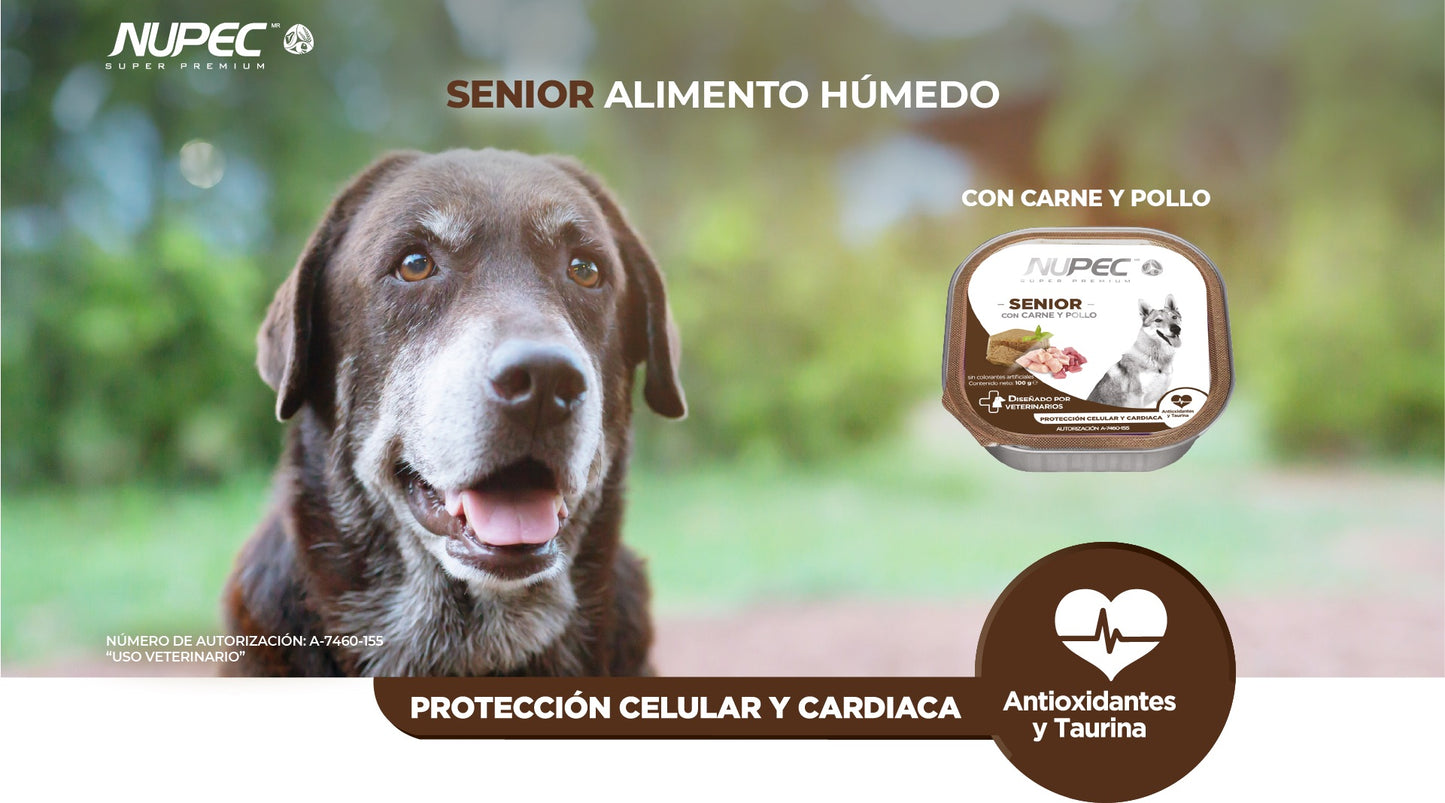 NUPEC SENIOR HUMEDO