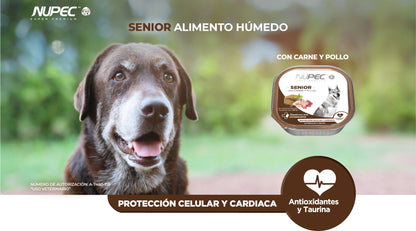 NUPEC SENIOR HUMEDO