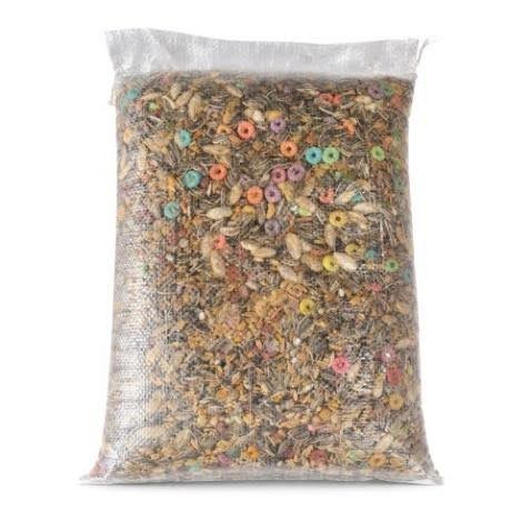 PERICO HABLADOR 3 KG